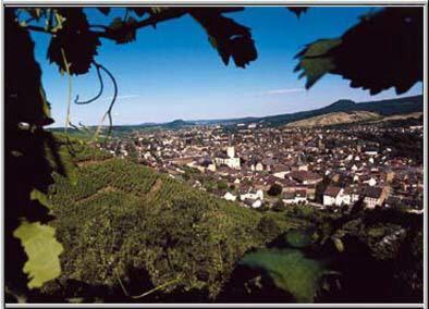 Hotel Rhein Inn Remagen Esterno foto